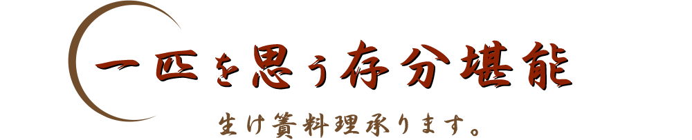 一匹を思う